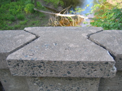 IMG_4710.JPG