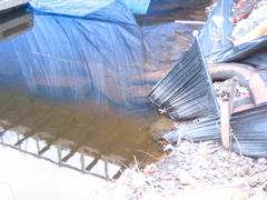 IMG_4790.JPG