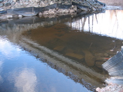 IMG_4861.JPG