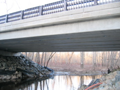 IMG_4867.JPG