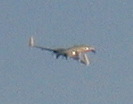 IMG_0381.JPG