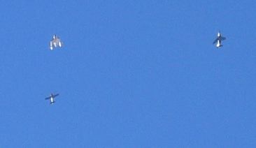 IMG_0589.JPG