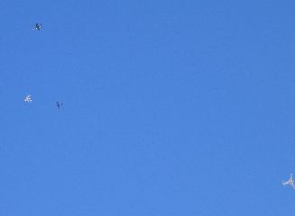 IMG_0592.JPG