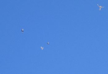 IMG_0595.JPG