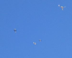 IMG_0597.JPG