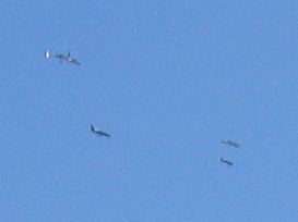 IMG_0600.JPG