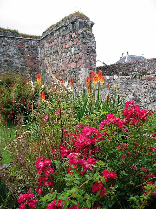 Nunnery flowers