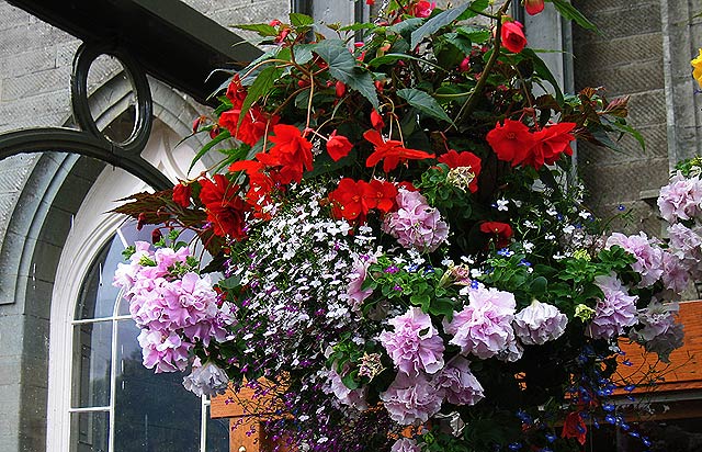 Castle Inverary flower basket